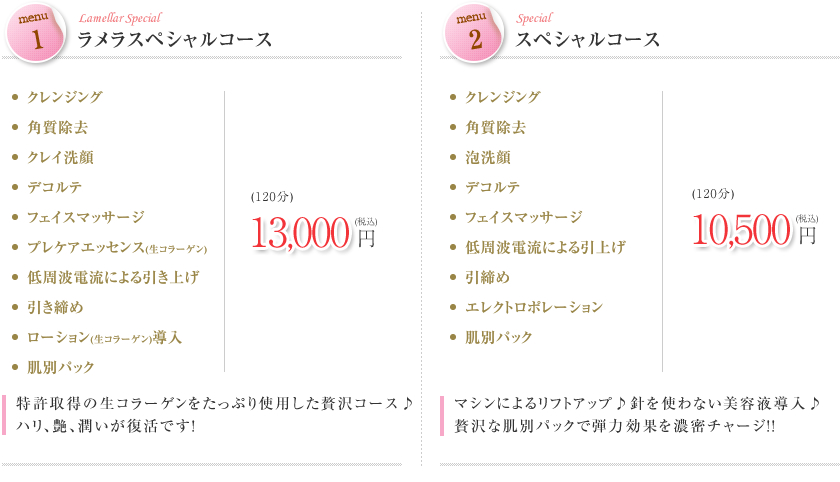 ラメラスペシャルコース スペシャルコース